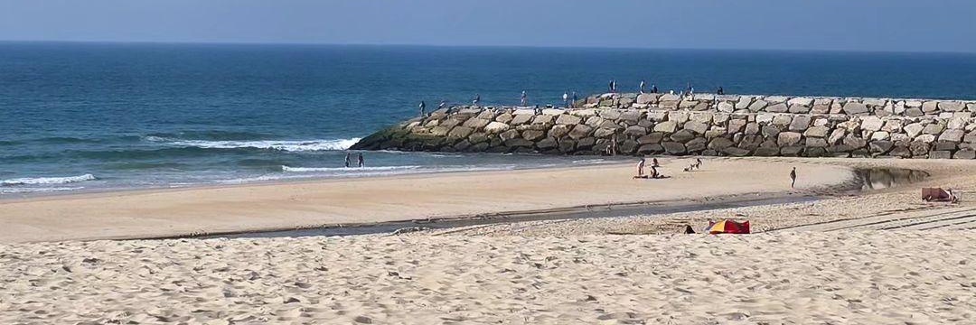 ƬIΛGӨ 🦅 banner