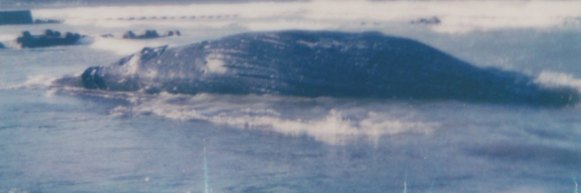 北島滉大とソングベンダーズ banner