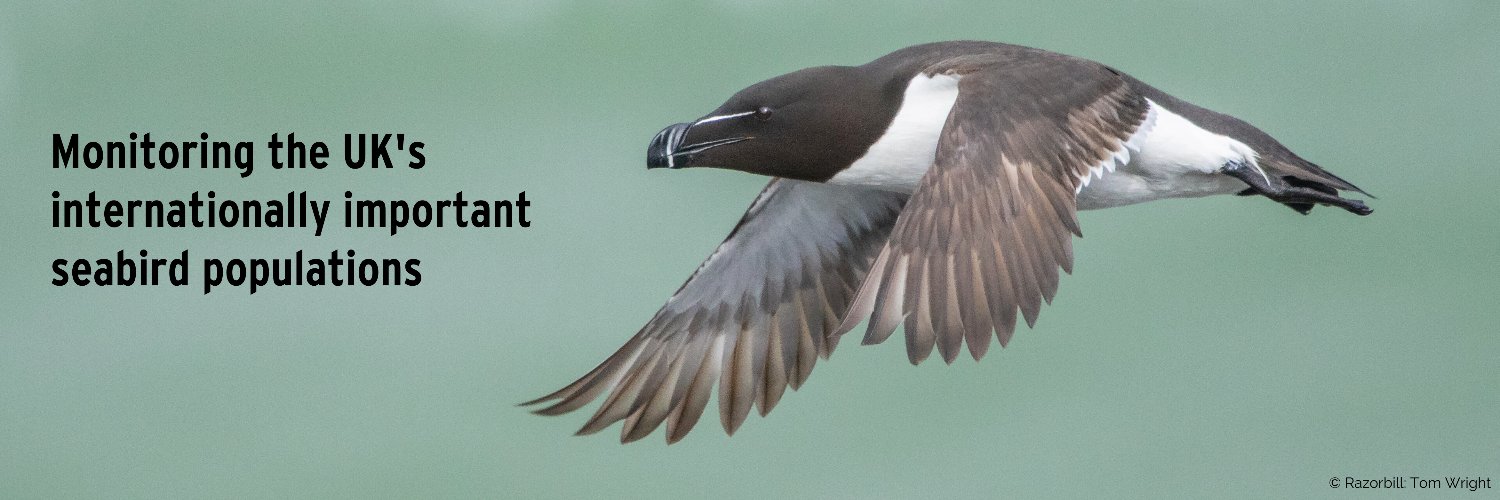 UK Seabird Monitoring Programme Profile Banner