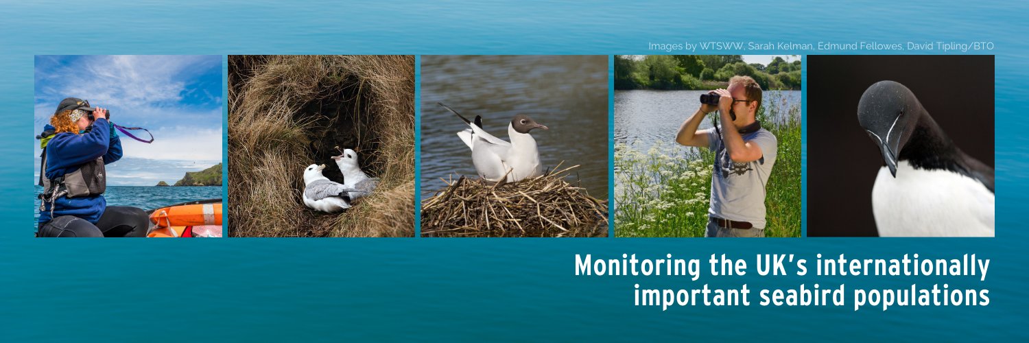 UK Seabird Monitoring Programme's banner