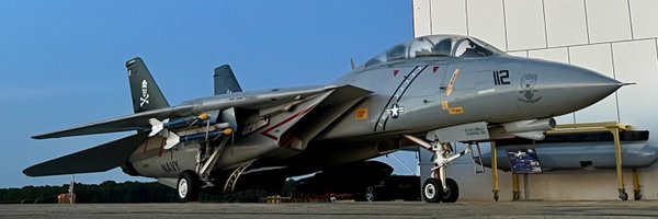 TomcatJunkie Profile Banner