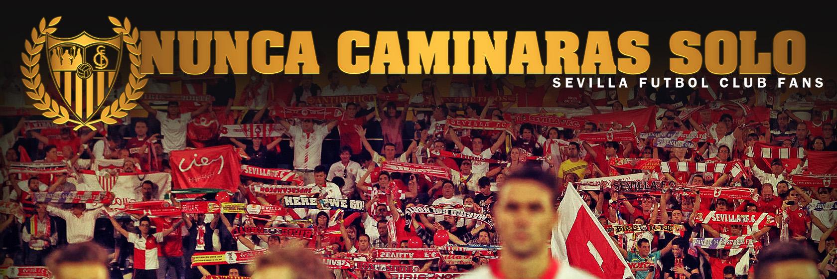 Ziskographics banner