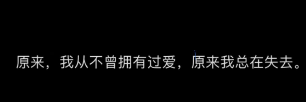 流浪小狗 banner