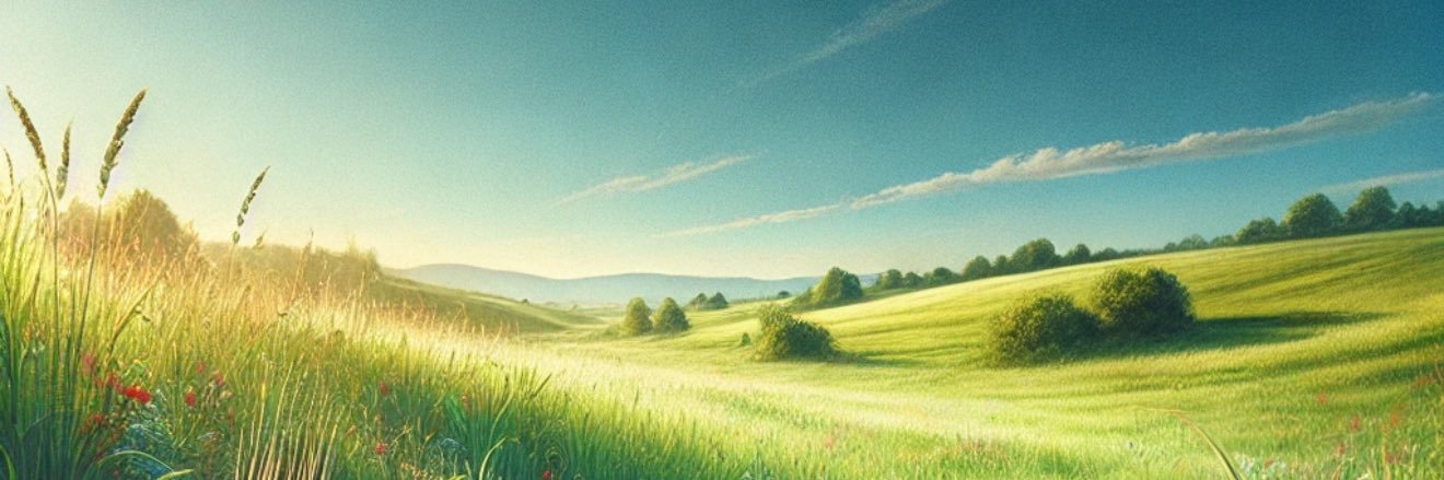 PaydaySOL's profile banner image