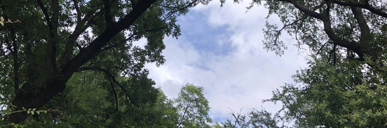 PinkstonBen's profile banner image