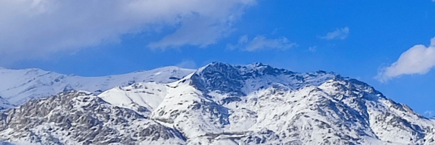 hicho0o's profile banner image