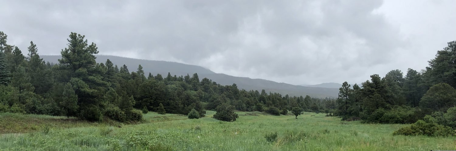 Aaron MacKarvich banner