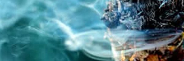Xavia_Jackson Profile Banner
