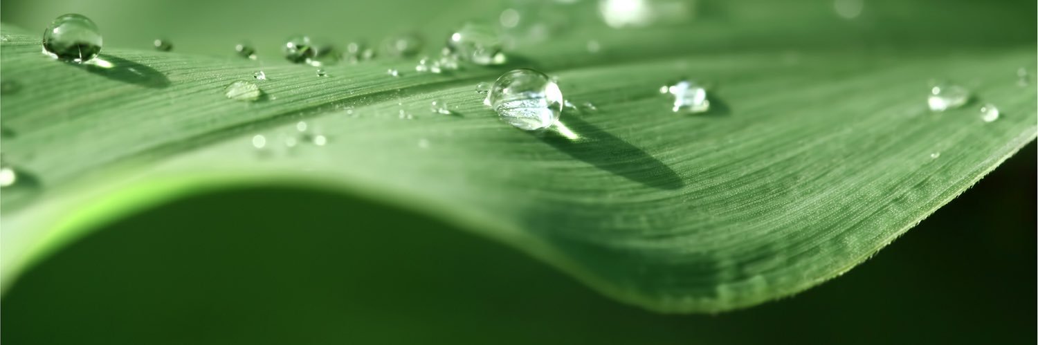 Tiffanyfrash's profile banner image
