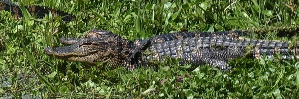 labmanagershel Profile Banner