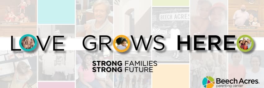 Beech Acres Parenting Center banner