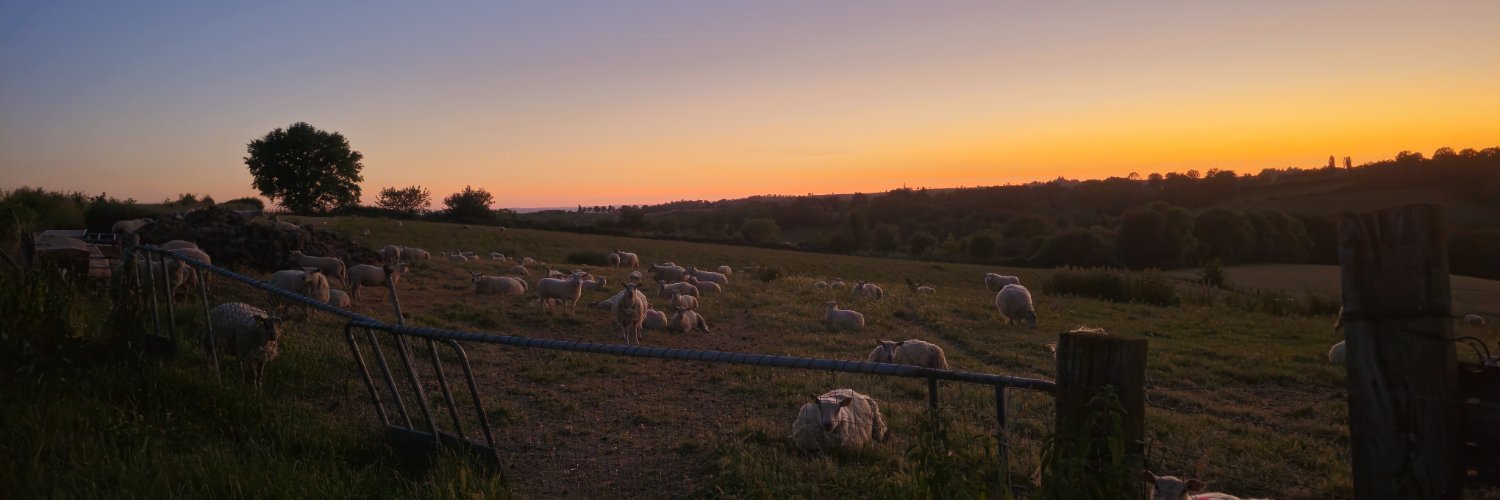 Zedira Malaxer banner