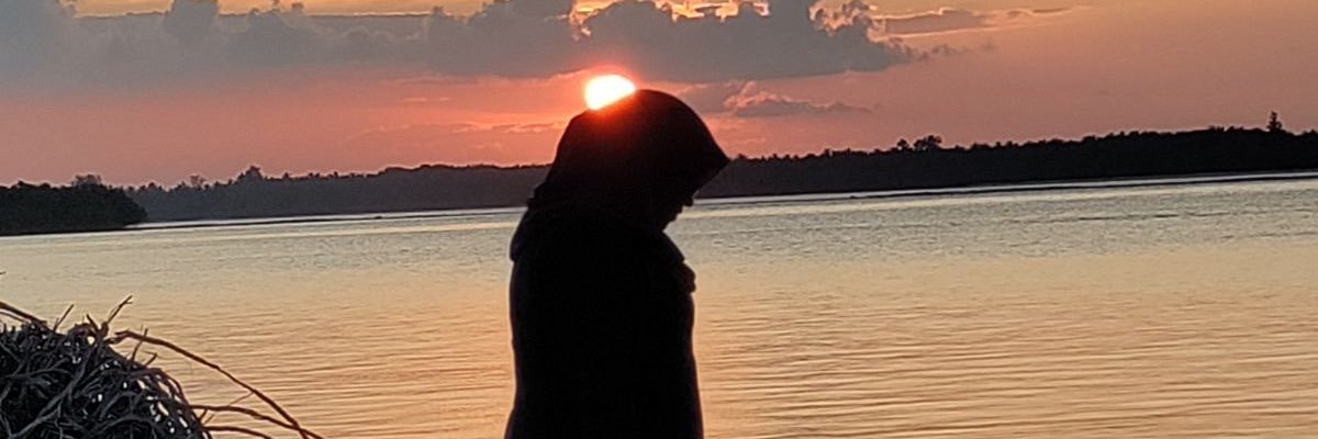shaheee's profile banner image