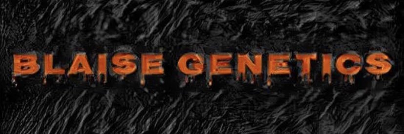 Blaise Genetics's banner