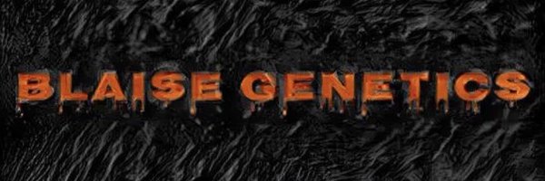 BlaiseGenetics Profile Banner