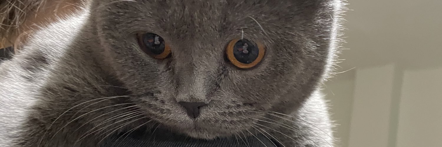 busrasabano's profile banner image
