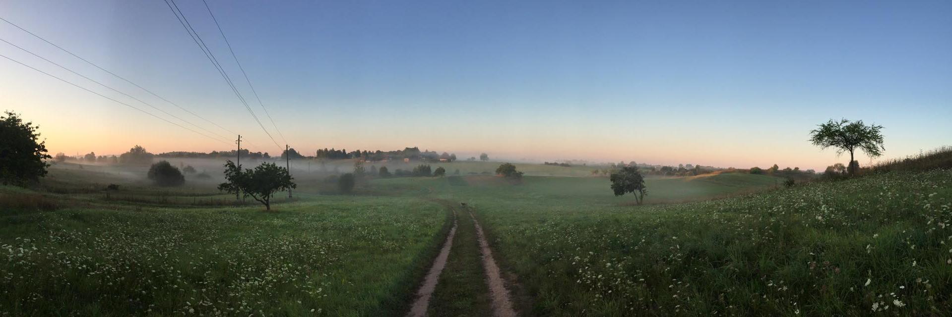 liemur's profile banner image