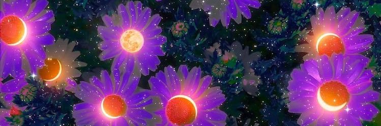 𝙢𝙚𝙧𝙪 banner