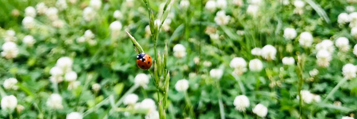 Jasmine C 🏔️ banner