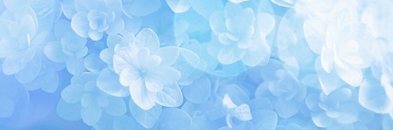 那颜 banner