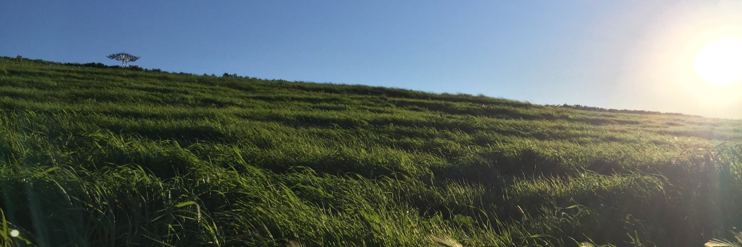 akshayp's profile banner image