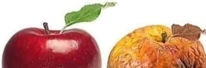 LabourPMLN's profile banner image