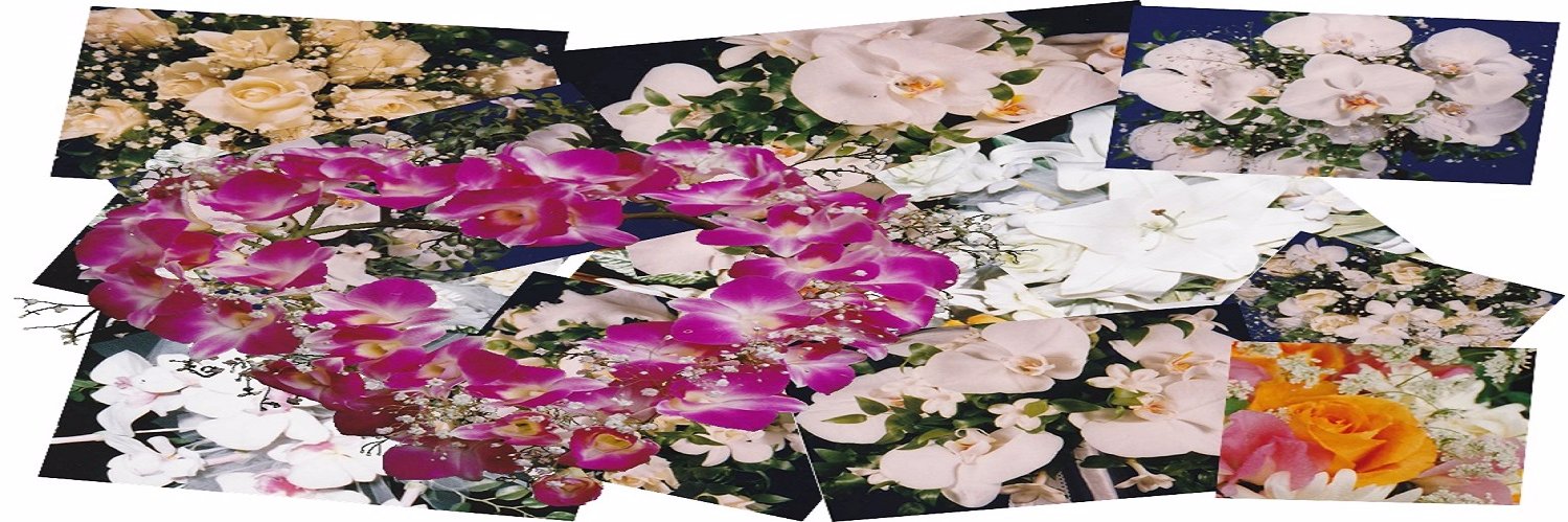 FlowerFactori's profile banner image