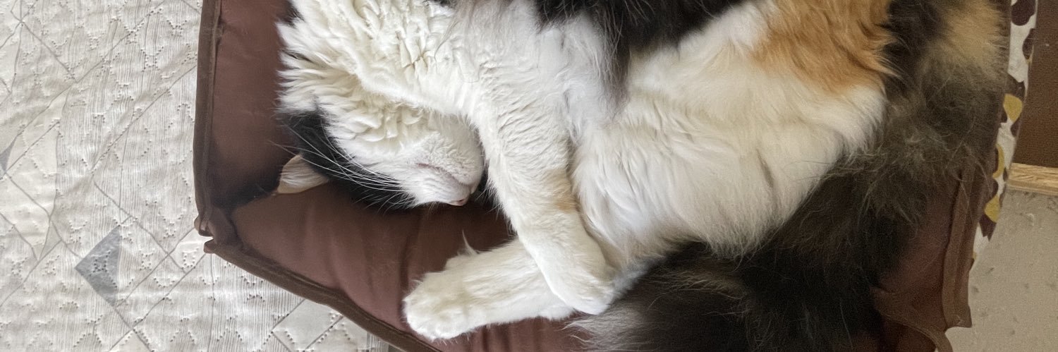 Marcelo🤍🖤🐔 banner