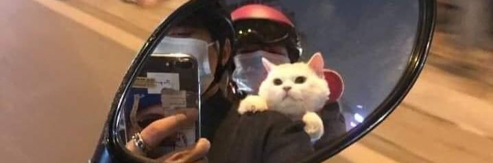 Ptysie_kuni's profile banner image