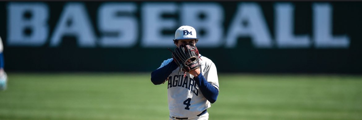 Roman Stevens44 banner