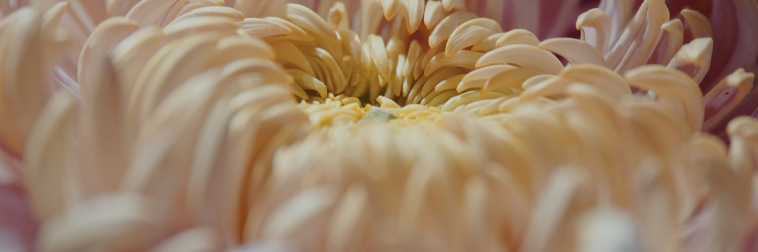 cinemaresque3's profile banner image