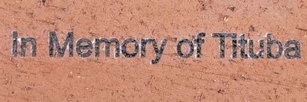 Masswitchhunt Profile Banner