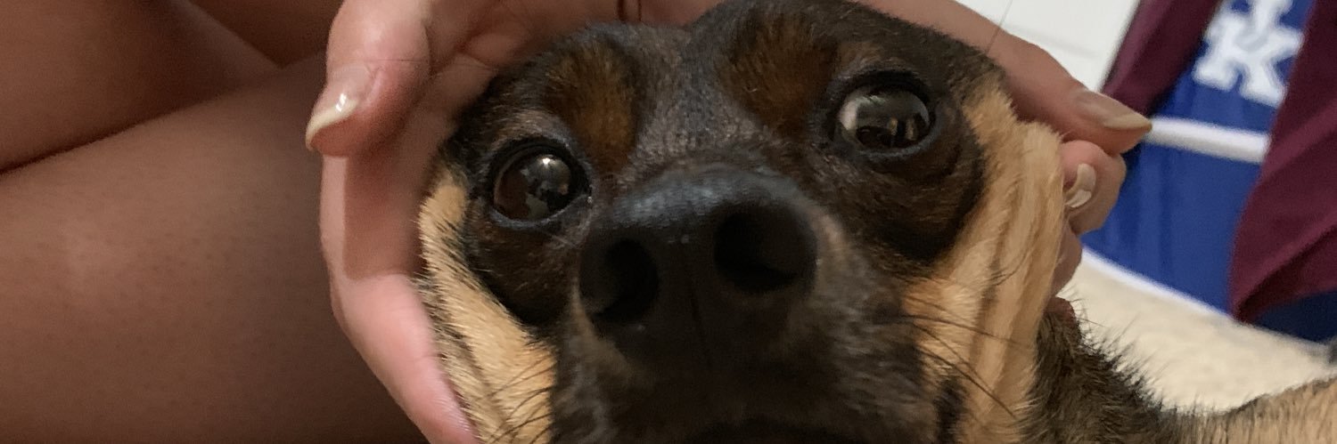 kayla4227's profile banner image