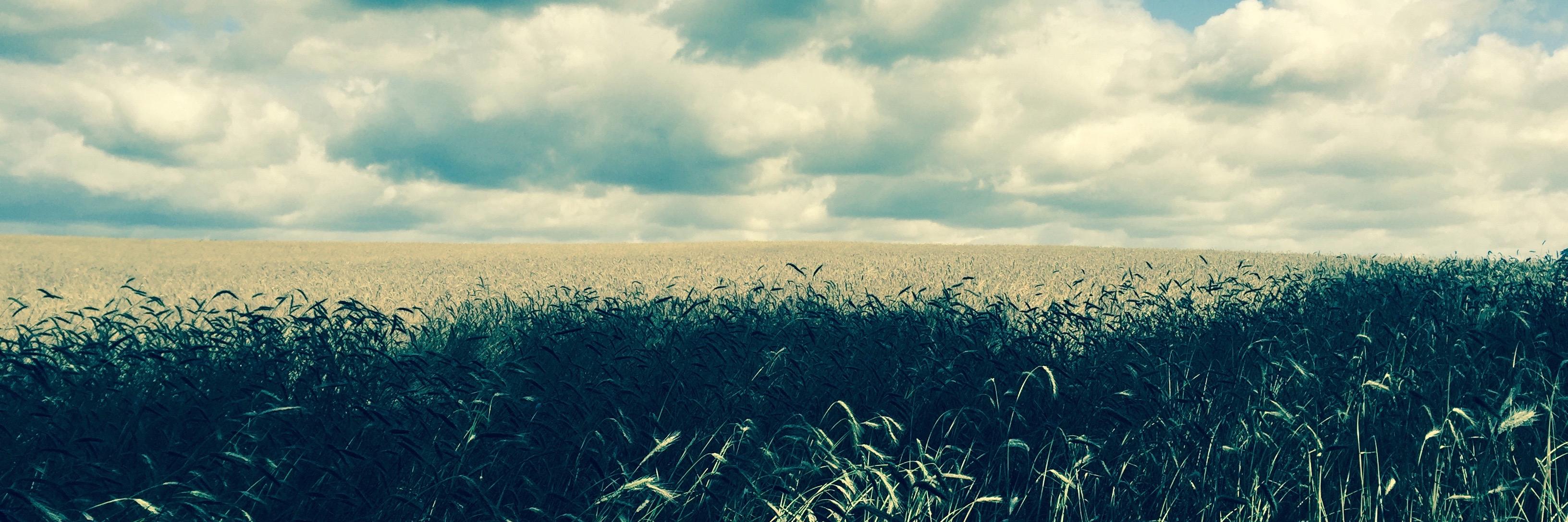 Zoliblaze's profile banner image