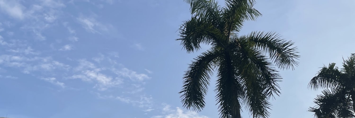 nancheese_'s profile banner image
