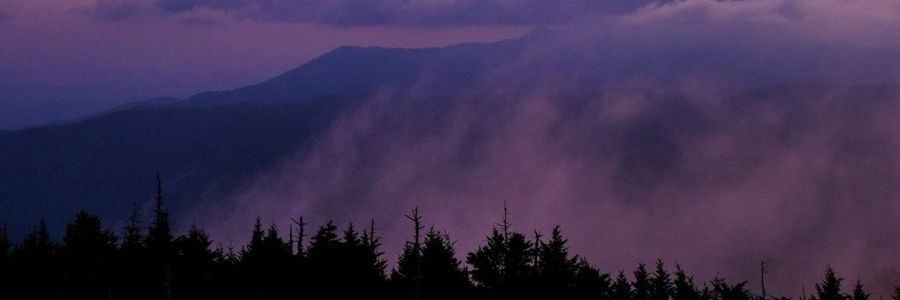 tiweh's profile banner image