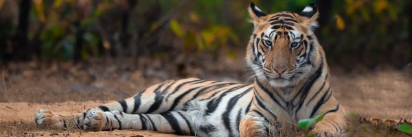 varunthakkar156 Profile Banner