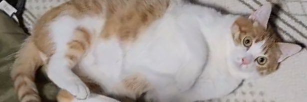 0unkonow0's profile banner image