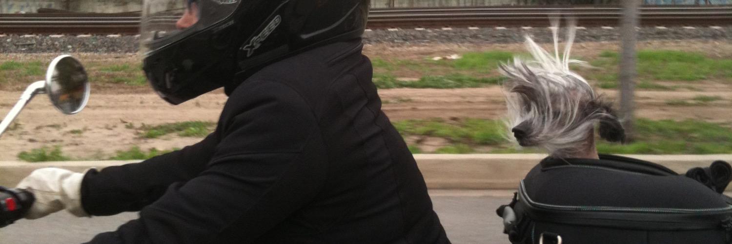 sissycatt's profile banner image