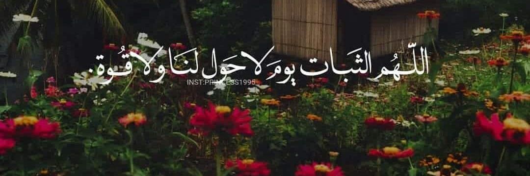 iamsamarr's profile banner image