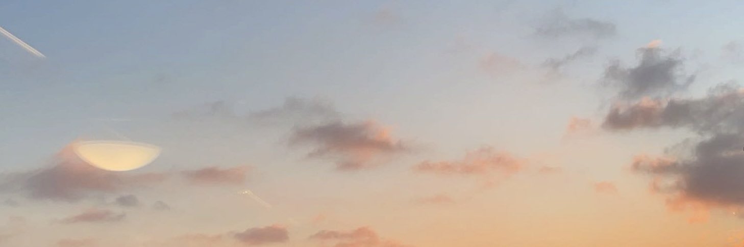 viri 🍉's banner