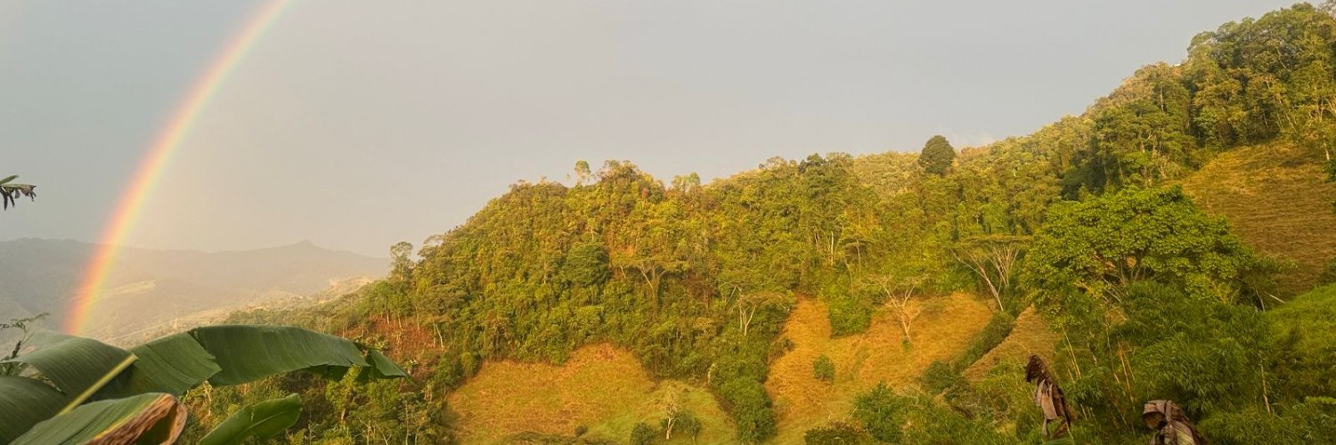 OLGUITAPULI's profile banner image