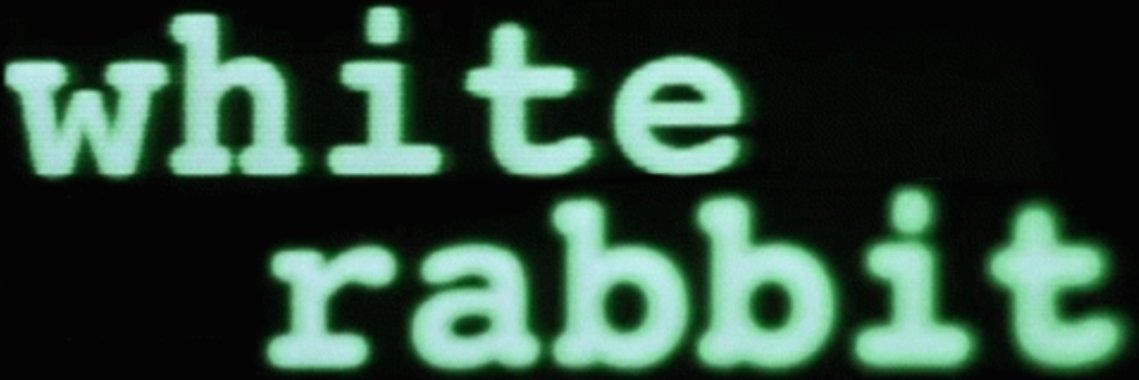 White Rabbit Neo banner