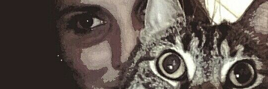 barbisabella's profile banner image