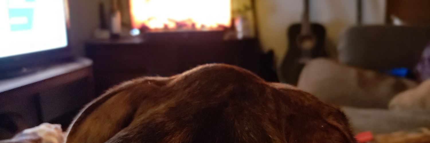 Matt Anderson banner