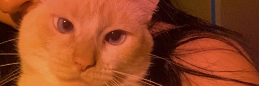 𝓗𝓮𝓵𝓮𝓷𝓪 °❀⋆.ೃ࿔*:･ banner