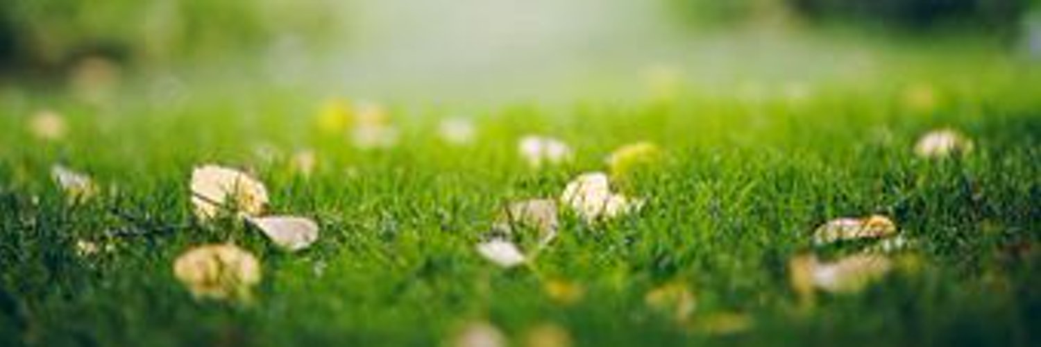 chthy33446677's profile banner image