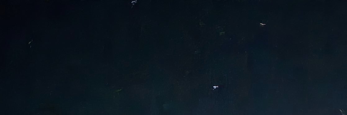 taeuire's profile banner image