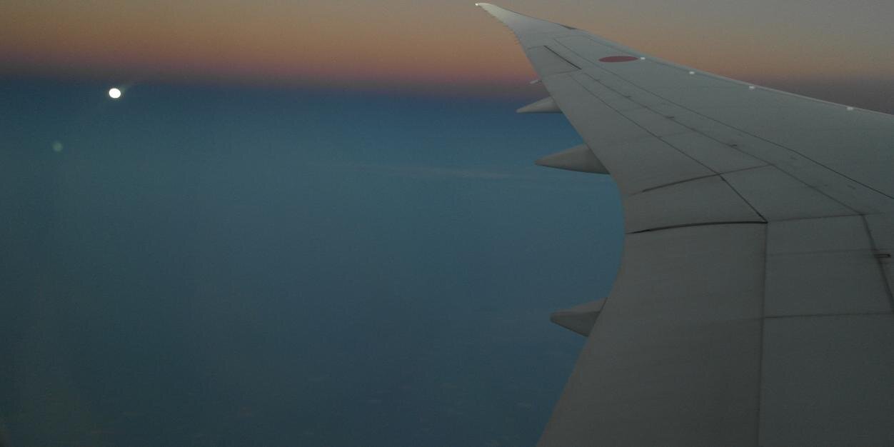 mlaiww's profile banner image
