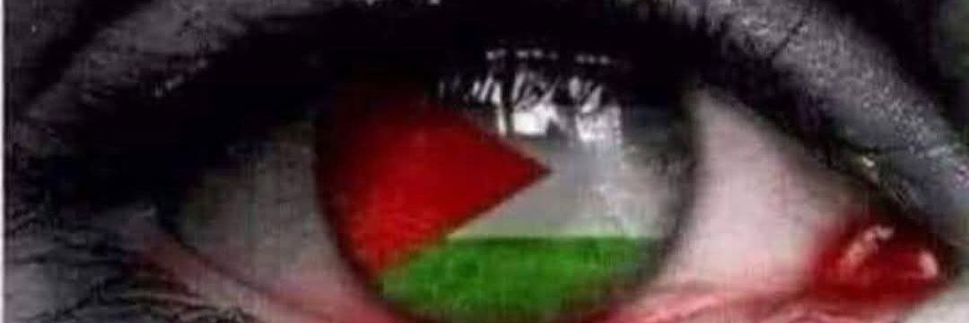 Bob Alian - אני בעד פלסטין's banner